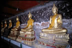 Gold statues in Bangkok