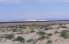 Dunes to the north of San Ignacio Lagoon.